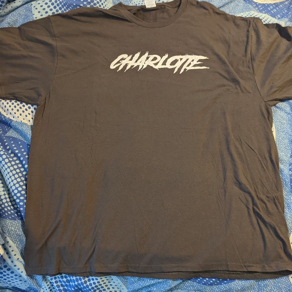 Men's Gray Charlotte basic T-Shirt Sz 3xl